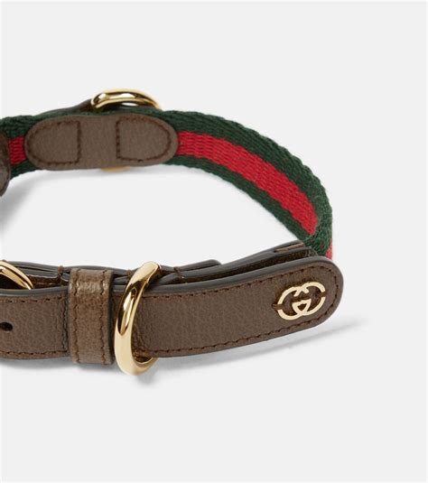 gucci collars|genuine gucci collar.